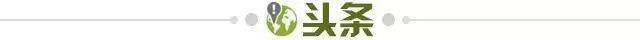 开云网页版-【早报】被放养的亚冠和扣上大棚的反季中超...