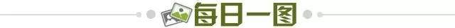 308777aa-6bbc-4999-a04f-d62eb56cc48a.jpg@!img01