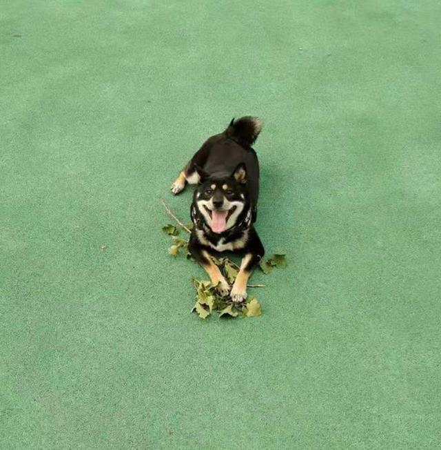 微信图片_20210705235004_副本.jpg